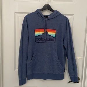 Patagonia Organic Cotton mens Blue Hoodie